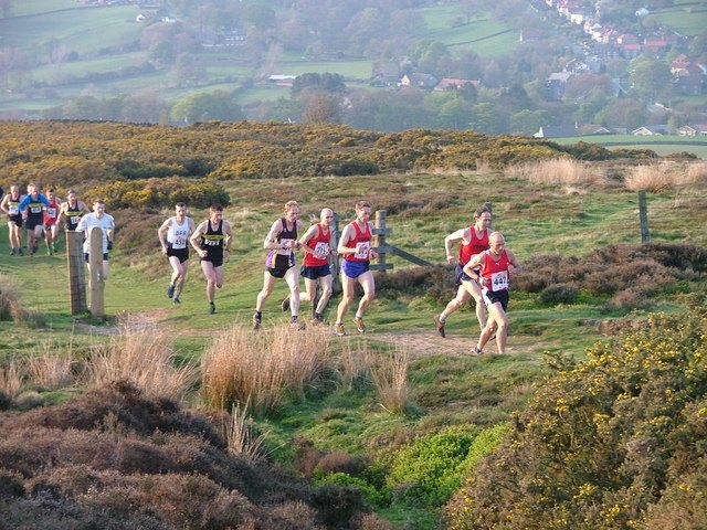 Runners in a fell race